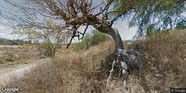INSPECTORIA AUXILIAR MUNICIPAL DE TRES CRUCES PRIMERA SECCIÓN